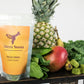 Freeze-Dried Creations "SPICY Mango"